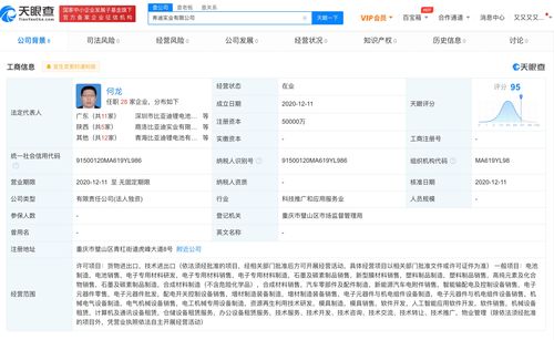 比亞迪成立弗迪實業，布局人工智能應用軟件開發
